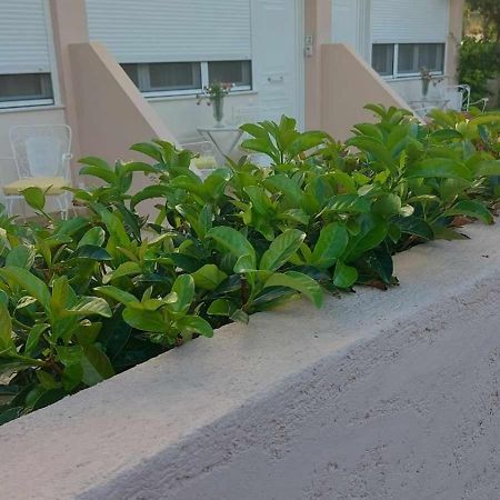 Nn Rooms And Suites Near Athens Airport Spata  Exterior photo